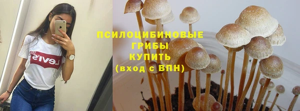 ECSTASY Медвежьегорск