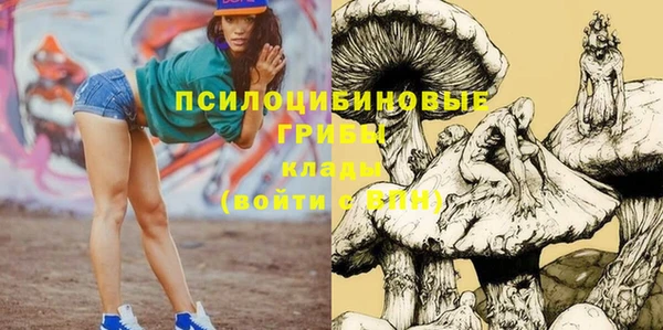ECSTASY Медвежьегорск