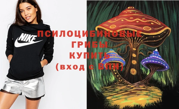 ешки Медногорск