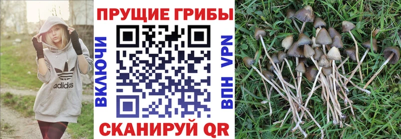 Галлюциногенные грибы MAGIC MUSHROOMS Калуга