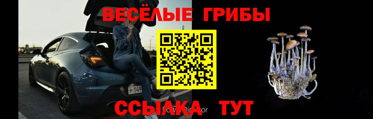 как найти   Галлюциногенные грибы мухоморы  Вход с VPN  Галлюциногенные грибы мухоморы  Калуга 